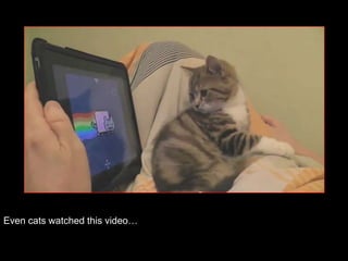 Even cats watched this video…
 