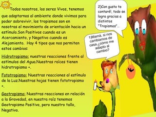 2)Con gusto te contaré!, todo se logra gracias a distintos “Tropismos”… “   Todos nosotros, los seres Vivos, tenemos que adaptarnos al ambiente donde vivimos para poder sobrevivir, los tropismos son en nosotras el movimiento de orientación hacia un estímulo.Son Positivos cuando es un Acercamiento, y Negativo cuando es Alejamiento.  Hay 4 tipos que nos permiten estos cambios: Hidrotropismo:  nuestras reacciones frente al estímulos del Agua.Nuestras raíces tienen hidrotropismo +. Fototropismo:  Nuestras reacciones al estímulo de la Luz.Nuestras hojas tienen fototropismo +. Geotropismo:  Nuestras reacciones en relación a la Gravedad, en nuestra raíz tenemos Geotropismo Positivo, pero nuestro tallo, Negativo. Tigmotropismo:  Nuestras reacciones al estar en contacto con objetos sólidos, este es el caso de tus amigas las  “Enrredaderas .  ” 1)Mamá, si nos cambiamos de casa,¿cómo me adapto al cambio? 