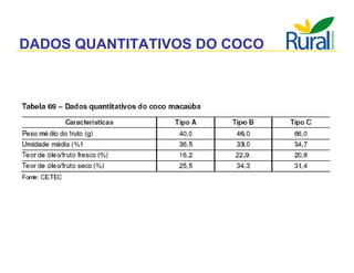 Apresentação - Macaúba como fonte alternativa