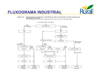 Apresentação - Macaúba como fonte alternativa