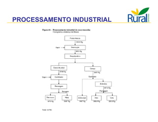 Apresentação - Macaúba como fonte alternativa