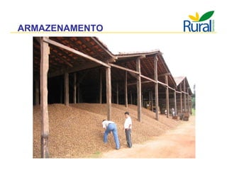 Apresentação - Macaúba como fonte alternativa