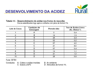 Apresentação - Macaúba como fonte alternativa