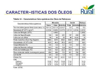 Apresentação - Macaúba como fonte alternativa