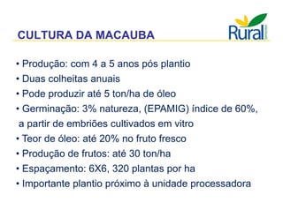 Apresentação - Macaúba como fonte alternativa