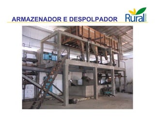 Apresentação - Macaúba como fonte alternativa