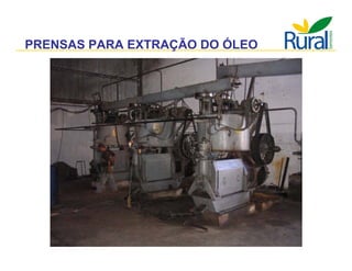 Apresentação - Macaúba como fonte alternativa