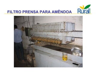 Apresentação - Macaúba como fonte alternativa