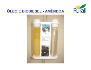 Apresentação - Macaúba como fonte alternativa