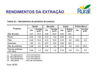 Apresentação - Macaúba como fonte alternativa