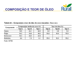 Apresentação - Macaúba como fonte alternativa