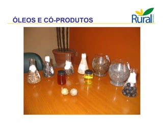 Apresentação - Macaúba como fonte alternativa