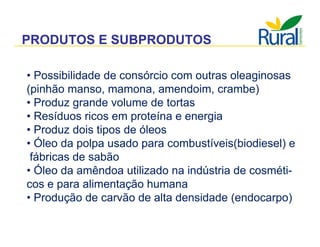 Apresentação - Macaúba como fonte alternativa