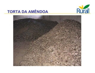 Apresentação - Macaúba como fonte alternativa