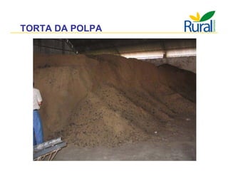 Apresentação - Macaúba como fonte alternativa