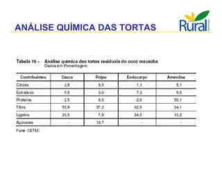 Apresentação - Macaúba como fonte alternativa