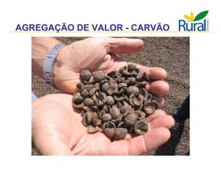 Apresentação - Macaúba como fonte alternativa