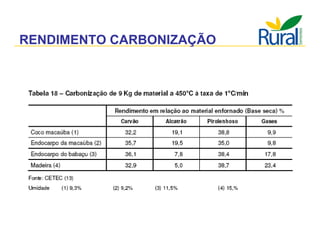 Apresentação - Macaúba como fonte alternativa