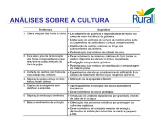 Apresentação - Macaúba como fonte alternativa