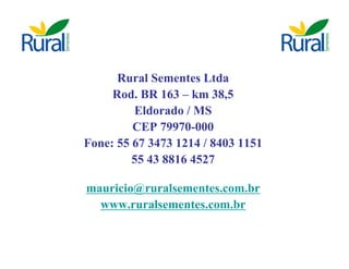 Apresentação - Macaúba como fonte alternativa