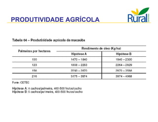 Apresentação - Macaúba como fonte alternativa