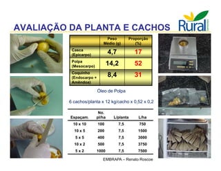 Apresentação - Macaúba como fonte alternativa