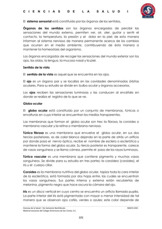 C I E N C I A S D E L A S A L U D I
Ciencias de la Salud I 5to Semestre Bachillerato MACR-CASC
Material exclusivo del Colegio Americano de San Carlos, S.C.
101
El sistema sensorial está constituido por los órganos de los sentidos.
Órganos de los sentidos son los órganos encargados de percibir las
sensaciones del mundo externo, permiten ver, oír, oler, gustar y sentir el
contacto, la temperatura, la presión y el dolor en la piel; de esta manera
informan al sistema nervioso de manera permanente acerca de los cambios
que ocurren en el medio ambiente, contribuyendo de ésta manera a
mantener la homeostasis del organismo.
Los órganos encargados de recoger las sensaciones del mundo exterior son los
ojos, los oídos, la lengua, la mucosa nasal y la piel.
Sentido de la vista
El sentido de la vista es aquel que se encuentra en los ojos.
El ojo es un órgano par y se localiza en las cavidades denominadas órbitas
oculares. Para su estudio se divide en: bulbo ocular y órganos accesorios.
Los ojos reciben las sensaciones luminosas y las conducen al encéfalo en
donde se realiza el registro de lo que se ve.
Globo ocular
El globo ocular está constituido por un conjunto de membranas, túnicas o
envolturas en cuyo interior se encuentran los medios transparentes.
Las membranas que forman el globo ocular son tres: la fibrosa, la coroides o
membrana vascular y la retina o membrana nerviosa.
Túnica fibrosa es una membrana que envuelve el globo ocular, en sus dos
tercios posteriores, es de color blanco dejando en la parte de atrás un orificio
por donde pasa el nervio óptico, recibe el nombre de esclera o esclerótica y
mantiene la forma del globo ocular. Su tercio posterior es transparente, carece
de vasos sanguíneos y se llama córnea, permite el paso de los rayos luminosos.
Túnica vascular es una membrana que contiene pigmento y muchos vasos
sanguíneos. Se divide para su estudio en tres partes: la coroidea (coroides), el
iris y el cuerpo ciliar.
Coroides es la membrana nutritiva del globo ocular, tapiza toda la cara interior
de la esclerótica, está formada por dos hojas entre, las cuales se encuentran
los vasos sanguíneos. Sus partes interna y externa están recubiertas de
melanina, pigmento negro que hace oscura la cámara del ojo.
Iris es un disco vertical en cuyo centro se encuentra un orificio llamado pupila.
La parte interior del iris está pigmentada con mayor o menor intensidad de tal
manera que se observan ojos cafés, verdes o azules; este color depende de
 