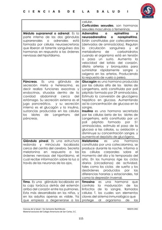 C I E N C I A S D E L A S A L U D I
Ciencias de la Salud I 5to Semestre Bachillerato MACR-CASC
Material exclusivo del Colegio Americano de San Carlos, S.C.
115
celular.
Corticoides sexuales, son hormonas
sexuales masculinas o femeninas.
Médula suprarrenal o adrenal. Es la
parte interna de las dos glándulas
suprarrenales o adrenales está
formada por células neurosecretoras
que liberan al torrente sanguíneo dos
hormonas en respuesta a las órdenes
nerviosas del hipotálamo.
Adrenalina o epinefrina y
neuroadrenalina o norepinefrina.
Están constituidas por catecolaminas
(derivados de aminoácidos). Regulan
la circulación sanguínea y el
metabolismo de carbohidratos
cuando el organismo está en tensión
o pasa un susto. Aumenta la
velocidad del latido del corazón,
dilata arterias y bronquiolos para
suministrar rápidamente sangre y
oxígeno en las arterias. Produciendo
la respuesta de vuelo o pelea.
Páncreas. Es una glándula de
secreción mixta o heterocrina, es
decir realiza funciones exocrinas y
endocrinas, situadas dentro de la
cavidad abdominal cerca del
estómago. Su secreción externa es el
jugo pancreático, y su secreción
interna es el glucagón y la insulina,
sustancias producidas en las células
los islotes de Langerhans del
páncreas.
Glucagón es una hormona producida
por las células alfa de los islotes de
Langerhans, está constituida por poli
péptido formado por 29 aminoácidos.
Estimula la conversión de glucógeno
hepático en glucosa. Aumentando
así la concentración de glucosa en la
sangre.
Insulina es una hormona secretada
por las células beta de los islotes de
Langerhans, está constituida por un
poli péptido formado por 51
aminoácidos, estimula el paso de la
glucosa a las células, su oxidación y
disminuye su concentración sangre, y
aumenta el depósito de glucógeno.
Glándula pineal. Es una estructura
redonda y minúscula localizada
cerca del centro del cerebro. Secreta
melatonina en respuesta a las
órdenes nerviosas del hipotálamo, el
cual recibe información sobre la luz a
través de las neuronas de los ojos.
Melatonina es una hormona
constituida por una catecolamina, se
produce durante la noche, informa a
las células corporales sobre el
momento del día y la temporada del
año. En los humanos rige los ciclos
diarios (circadianos) de actividad,
tales como los ciclos de sueño y los
desórdenes producidos por las
diferencias horarias y estacionales, tal
como la depresión invernal.
Timo. Es una glándula localizada en
la caja torácica detrás del esternón
arriba del corazón entre los pulmones.
Esta más desarrollada en los niños, y
en los adultos apenas es visible. Ya
que empieza a degenerarse a los
Timosina es una hormona que
controla la maduración de los
linfocitos de la sangre, llamados
células T, los cuales son elementos
claves del sistema inmunológico que
protege al organismo de las
 