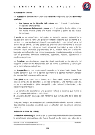 C I E N C I A S D E L A S A L U D I
Ciencias de la Salud I 5to Semestre Bachillerato MACR-CASC
Material exclusivo del Colegio Americano de San Carlos, S.C.
124
a) Huesos del cráneo
Los huesos del cráneo estructuran una cavidad compuesta por una bóveda y
una base.
 Los huesos de la bóveda del cráneo son: 1 frontal, 2 parietales, 1
occipital y 2 temporales.
 Los huesos de la base del cráneo son: 1 etmoides, 1 esfenoides, parte
del hueso frontal, parte del hueso occipital y parte de los huesos
temporales.
El frontal es un hueso impar, se localiza en la parte media y anterior de la
bóveda del cráneo. Tiene una porción vertical o escama que da forma a la
frente y una porción horizontal que forma parte de la base del cráneo y del
techo de las órbitas. En esta porción se presenta una escotadura o incisura
etmoidal donde se articula el hueso etmoidal (etmoides) y unas salientes
llamados arcos orbitarios (superficiales). En su interior tiene dos cavidades
llamadas senos frontales que comunican con las cavidades nasales, se articula
con los parietales, etmoidal, esfenoidal, lagrimales, nasales, cigomáticos y
maxilares superiores.
Los Parietales son dos huesos planos localizados atrás del frontal, delante del
occipital y arriba de los temporales. Son de forma cuadrilátera y constituyen
parte de la bóveda del cráneo.
Los temporales son dos huesos que forman la parte lateral del cráneo. Tiene
cuatro porciones que son: la apófisis cigomática, la apófisis mastoides, la roca
del temporal y la escama del temporal.
El occipital es un hueso impar, situado en la línea media y parte posterior del
cráneo, atrás de los parietales y de los temporales. Está formado por dos
partes: la concha del occipital y la apófisis basilar del occipital entre las cuales
pasa el agujero magno.
1. La concha del occipital es una porción vertical o escama que forma la
parte posterior de la bóveda del cráneo.
2. La apófisis basilar es una poción horizontal que forma parte de la base del
cráneo.
El agujero magno, es un agujero por donde pasa la médula espinal, presenta
dos salientes ovaladas (cóndilos), que se articulan con la primera vértebra
cervical.
Huesos de la base del cráneo.
El etmoidal (etmoides) se localiza en la parte media de la base del cráneo en
la escotadura inter-orbitaria del hueso frontal, en la parte más alta de la
 