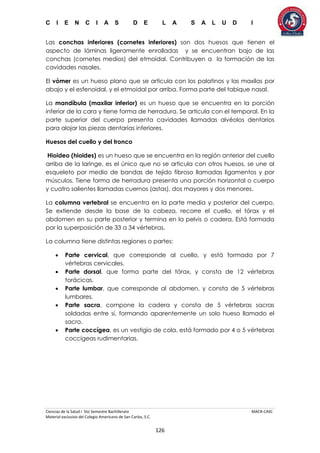 C I E N C I A S D E L A S A L U D I
Ciencias de la Salud I 5to Semestre Bachillerato MACR-CASC
Material exclusivo del Colegio Americano de San Carlos, S.C.
126
Las conchas inferiores (cornetes inferiores) son dos huesos que tienen el
aspecto de láminas ligeramente enrolladas y se encuentran bajo de las
conchas (cornetes medios) del etmoidal. Contribuyen a la formación de las
cavidades nasales.
El vómer es un hueso plano que se articula con los palatinos y las maxilas por
abajo y el esfenoidal, y el etmoidal por arriba. Forma parte del tabique nasal.
La mandíbula (maxilar inferior) es un hueso que se encuentra en la porción
inferior de la cara y tiene forma de herradura. Se articula con el temporal. En la
parte superior del cuerpo presenta cavidades llamadas alvéolos dentarios
para alojar las piezas dentarias inferiores.
Huesos del cuello y del tronco
Hioideo (hioides) es un hueso que se encuentra en la región anterior del cuello
arriba de la laringe, es el único que no se articula con otros huesos, se une al
esqueleto por medio de bandas de tejido fibroso llamadas ligamentos y por
músculos. Tiene forma de herradura presenta una porción horizontal o cuerpo
y cuatro salientes llamadas cuernos (astas), dos mayores y dos menores.
La columna vertebral se encuentra en la parte media y posterior del cuerpo.
Se extiende desde la base de la cabeza, recorre el cuello, el tórax y el
abdomen en su parte posterior y termina en la pelvis o cadera. Está formada
por la superposición de 33 a 34 vértebras.
La columna tiene distintas regiones o partes:
 Parte cervical, que corresponde al cuello, y está formada por 7
vértebras cervicales.
 Parte dorsal, que forma parte del tórax, y consta de 12 vértebras
torácicas.
 Parte lumbar, que corresponde al abdomen, y consta de 5 vértebras
lumbares.
 Parte sacra, compone la cadera y consta de 5 vértebras sacras
soldadas entre sí, formando aparentemente un solo hueso llamado el
sacro.
 Parte coccígea, es un vestigio de cola, está formado por 4 o 5 vértebras
coccígeas rudimentarias.
 