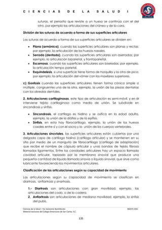 C I E N C I A S D E L A S A L U D I
Ciencias de la Salud I 5to Semestre Bachillerato MACR-CASC
Material exclusivo del Colegio Americano de San Carlos, S.C.
135
suturas, el periostio que reviste a un hueso se continúa con el del
otro, por ejemplo las articulaciones del cráneo y de la cara.
División de las suturas de acuerdo a forma de sus superficies articulares
Las suturas de acuerdo a forma de sus superficies articulares se dividen en:
 Plana (armónica), cuando las superficies articulares son planas y rectas;
por ejemplo, la articulación de los huesos nasales.
 Serrada (dentada), cuando las superficies articulares son aserradas; por
ejemplo, la articulación biparietal, y frontoparietal.
 Escamosa, cuando las superficies articulares son biseladas; por ejemplo,
la articulación tempo parietal.
 Esquindelesis, si una superficie tiene forma de horquilla y la otra de pico;
por ejemplo; la articulación del vómer con los maxilares superiores.
c) Gonfosis cuando las superficies articulares tienen forma cónica simple o
múltiple, congruentes una de la otra, ejemplo, la unión de las piezas dentarias
con los alveolos dentales.
2. Articulaciones cartilaginosas, este tipo de articulación es semi-móvil, y en él
interviene tejido cartilaginoso como medio de unión. Se subdivide en
sincondrosis y sínfisis.
 Sincondrosis, el cartílago es hialino y se osifica en la edad adulta,
ejemplo, la unión de la diáfisis y de la epífisis.
 Sínfisis, en esta hay fibrocartílago, ejemplo, la unión de los huesos
coxales entre sí y con el sacro y la unión de los cuerpos vertebrales.
3. Articulaciones sinoviales, las superficies articulares están cubiertas por una
delgada capa de cartílago hialino (cartílago articular) y se mantienen en su
sitio por medio de un manguito de fibrocartílago (cartílago de adaptación)
que recibe el nombre de cápsula articular y unas bandas de tejido fibroso
llamadas ligamentos. Entre las cavidades articulares hay un espacio llamado
cavidad articular, tapizado por la membrana sinovial que produce una
pequeña cantidad de líquido llamado sinovia o líquido sinovial, que sirve como
lubricante favoreciendo los movimientos articulares.
Clasificación de las articulaciones según su capacidad de movimiento
Las articulaciones según su capacidad de movimiento se clasifican en
diartrosis, anfiartrosis y sinartrosis.
1.- Diartrosis son articulaciones con gran movilidad, ejemplo, las
articulaciones del codo, o de la cadera.
2. Anfiartrosis son articulaciones de mediana movilidad, ejemplo, la sinfisis
del pubis.
 