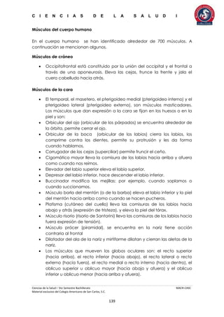 C I E N C I A S D E L A S A L U D I
Ciencias de la Salud I 5to Semestre Bachillerato MACR-CASC
Material exclusivo del Colegio Americano de San Carlos, S.C.
139
Músculos del cuerpo humano
En el cuerpo humano se han identificado alrededor de 700 músculos. A
continuación se mencionan algunos.
Músculos de cráneo
 Occipitofrontal está constituido por la unión del occipital y el frontal a
través de una aponeurosis. Eleva las cejas, frunce la frente y jala el
cuero cabelludo hacia atrás.
Músculos de la cara
 El temporal, el masetero, el pterigoideo medial (pterigoideo interno) y el
pterigoideo lateral (pterigoideo externo), son músculos masticadores.
Los músculos que dan expresión a la cara se fijan en los huesos o en la
piel y son:
 Orbicular del ojo (orbicular de los párpados) se encuentra alrededor de
la órbita, permite cerrar el ojo.
 Orbicular de la boca (orbicular de los labios) cierra los labios, los
comprime contra los dientes, permite su protrusión y les da forma
cuando hablamos.
 Corrugador de las cejas (superciliar) permite fruncir el ceño.
 Cigomático mayor lleva la comisura de los labios hacia arriba y afuera
como cuando nos reímos.
 Elevador del labio superior eleva el labio superior.
 Depresor del labio inferior, hace descender el labio inferior.
 Buccinador modifica las mejillas; por ejemplo, cuando soplamos o
cuando succionamos.
 Músculo borla del mentón (o de la barba) eleva el labio inferior y la piel
del mentón hacia arriba como cuando se hacen pucheros.
 Platisma (cutáneo del cuello) lleva las comisuras de los labios hacia
abajo y atrás (expresión de tristeza), y eleva la piel del tórax.
 Músculo risorio (risorio de Santorini) lleva las comisuras de los labios hacia
fuera expresión de tensión).
 Músculo prócer (piramidal), se encuentra en la nariz tiene acción
contraria al frontal
 Dilatador del ala de la nariz y mirtiforme dilatan y cierran las aletas de la
nariz.
 Los músculos que mueven los globos oculares son: el recto superior
(hacia arriba), el recto inferior (hacia abajo), el recto lateral o recto
externo (hacia fuera), el recto medial o recto interno (hacia dentro), el
oblicuo superior u oblicuo mayor (hacia abajo y afuera) y el oblicuo
inferior u oblicuo menor (hacia arriba y afuera).
 