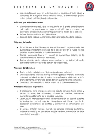 C I E N C I A S D E L A S A L U D I
Ciencias de la Salud I 5to Semestre Bachillerato MACR-CASC
Material exclusivo del Colegio Americano de San Carlos, S.C.
140
 Los músculos que mueven la lengua son: el genigloso (hacia abajo y
adelante), el estilogloso (hacia arriba y atrás), el estilohioideo (hacia
arriba y atrás) y el hipogloso (hacia abajo).
Músculos que mueven la cabeza
 Esternocleidomastoideo, que se encuentra en la parte anterior lateral
del cuello y al contraerse produce la rotación de la cabeza. Al
contraerse ambos simultáneamente producen la flexión de la cabeza.
 Semiespinoso rota la cabeza y la sostiene.
 Esplenio de la cabeza y el longísimo (dorsal largo) extiende la cabeza.
Músculos del cuello
 Suprahioideos e infrahioideos se encuentran en la región anterior del
cuello; los primeros forman el piso de la boca y elevan al hueso hiodeo
(hioides), los infrahioideos lo hacen descender.
 Rectos anteriores (mayor y menor) se encuentran delante de la
columna vertebral flexionan la cabeza.
 Rectos laterales de la cabeza se encuentran a los lados inclinan la
cabeza lateralmente cuando actúan de un solo lado.
Músculos del abdomen
 Recto anterior del abdomen flexiona la columna vertebral.
 Oblicuos externo (oblicuo mayor) e interno (oblicuo menor) inclinan la
columna vertebral hacia los lados y comprimen el abdomen y, más
profundamente el transverso del abdomen que también lo comprime.
 Cuadrado lumbar realiza la flexión lateral de la columna vertebral.
Principales músculos respiratorios
 El diafragma, tiene el aspecto de una cúpula convexa hacia arriba y
separa al tórax del abdomen, cuando se contrae, desciende,
aumentando el tamaño de la cavidad torácica.
 Los músculos intercostales internos y externos elevan las costillas durante
la inspiración aumentando las dimensiones del tórax; durante la
espiración descienden las costillas y disminuyen las dimensiones del
tórax.
 El serrato anterior (serrato mayor), los serratos menores posteriores,
superior e inferior y los pectorales mayor y menor, ensanchan al tórax
durante la inspiración.
 