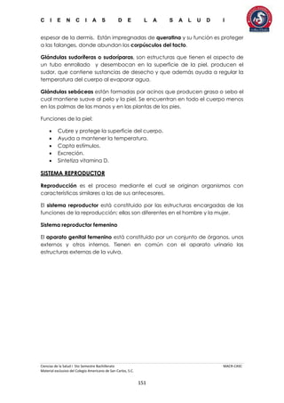 C I E N C I A S D E L A S A L U D I
Ciencias de la Salud I 5to Semestre Bachillerato MACR-CASC
Material exclusivo del Colegio Americano de San Carlos, S.C.
151
espesor de la dermis. Están impregnadas de queratina y su función es proteger
a las falanges, donde abundan los corpúsculos del tacto.
Glándulas sudoríferas o sudoríparas, son estructuras que tienen el aspecto de
un tubo enrrollado y desembocan en la superficie de la piel, producen el
sudor, que contiene sustancias de desecho y que además ayuda a regular la
temperatura del cuerpo al evaporar agua.
Glándulas sebáceas están formadas por acinos que producen grasa o sebo el
cual mantiene suave al pelo y la piel. Se encuentran en todo el cuerpo menos
en las palmas de las manos y en las plantas de los pies.
Funciones de la piel:
 Cubre y protege la superficie del cuerpo.
 Ayuda a mantener la temperatura.
 Capta estímulos.
 Excreción.
 Sintetiza vitamina D.
SISTEMA REPRODUCTOR
Reproducción es el proceso mediante el cual se originan organismos con
características similares a las de sus antecesores.
El sistema reproductor está constituido por las estructuras encargadas de las
funciones de la reproducción; ellas son diferentes en el hombre y la mujer.
Sistema reproductor femenino
El aparato genital femenino está constituido por un conjunto de órganos, unos
externos y otros internos. Tienen en común con el aparato urinario las
estructuras externas de la vulva.
 