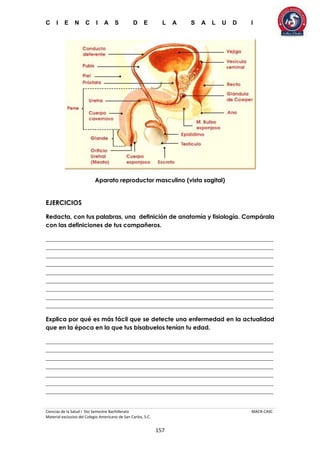 C I E N C I A S D E L A S A L U D I
Ciencias de la Salud I 5to Semestre Bachillerato MACR-CASC
Material exclusivo del Colegio Americano de San Carlos, S.C.
157
Aparato reproductor masculino (vista sagital)
EJERCICIOS
Redacta, con tus palabras, una definición de anatomía y fisiología. Compárala
con las definiciones de tus compañeros.
_____________________________________________________________________________
_____________________________________________________________________________
_____________________________________________________________________________
_____________________________________________________________________________
_____________________________________________________________________________
_____________________________________________________________________________
_____________________________________________________________________________
_____________________________________________________________________________
_____________________________________________________________________________
Explica por qué es más fácil que se detecte una enfermedad en la actualidad
que en la época en la que tus bisabuelos tenían tu edad.
_____________________________________________________________________________
_____________________________________________________________________________
_____________________________________________________________________________
_____________________________________________________________________________
_____________________________________________________________________________
_____________________________________________________________________________
_____________________________________________________________________________
 