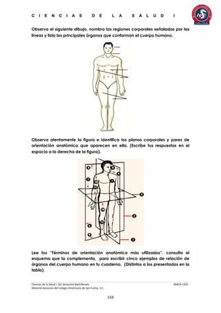 C I E N C I A S D E L A S A L U D I
Ciencias de la Salud I 5to Semestre Bachillerato MACR-CASC
Material exclusivo del Colegio Americano de San Carlos, S.C.
159
Observa el siguiente dibujo, nombra las regiones corporales señaladas por las
líneas y lista los principales órganos que conforman el cuerpo humano.
Observa atentamente la figura e identifica los planos corporales y pares de
orientación anatómica que aparecen en ella. (Escribe tus respuestas en el
espacio a la derecha de la figura).
Lee los “Términos de orientación anatómica más utilizados”, consulta el
esquema que la complementa, para escribir cinco ejemplos de relación de
órganos del cuerpo humano en tu cuaderno. (Distintos a los presentados en la
tabla).
 
