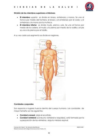 C I E N C I A S D E L A S A L U D I
Ciencias de la Salud I 5to Semestre Bachillerato MACR-CASC
Material exclusivo del Colegio Americano de San Carlos, S.C.
42
División de los miembros superiores e inferiores
 El miembro superior se divide en brazo, antebrazo y manos. Se une al
tronco por medio del hombro; el brazo y el antebrazo por el codo; y el
antebrazo y la mano por la muñeca.
 El miembro inferior se divide muslo, pierna y pie. Se une al tronco por
medio de la cadera, el muslo y la pierna por medio de la rodilla y el pie
se une a la pierna por el tobillo.
A su vez cada sub-segmento se divide en regiones.
Cavidades corporales
Son espacios o lugares huecos dentro del cuerpo humano. Las cavidades de
mayor tamaño son las siguientes:
 Cavidad craneal, aloja el encéfalo.
 Cavidad vertebral (conducto vertebral o raquídeo), está formado por la
superposición de las vértebras, aloja la médula espinal.
 