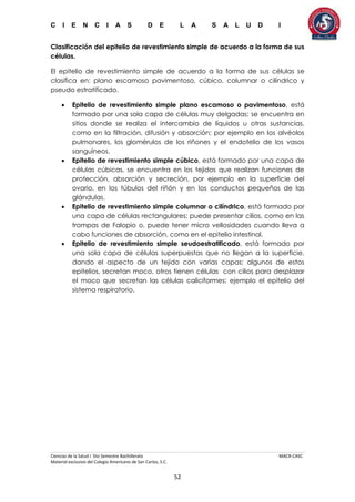 C I E N C I A S D E L A S A L U D I
Ciencias de la Salud I 5to Semestre Bachillerato MACR-CASC
Material exclusivo del Colegio Americano de San Carlos, S.C.
52
Clasificación del epitelio de revestimiento simple de acuerdo a la forma de sus
células.
El epitelio de revestimiento simple de acuerdo a la forma de sus células se
clasifica en: plano escamoso pavimentoso, cúbico, columnar o cilíndrico y
pseudo estratificado.
 Epitelio de revestimiento simple plano escamoso o pavimentoso, está
formado por una sola capa de células muy delgadas; se encuentra en
sitios donde se realiza el intercambio de líquidos u otras sustancias,
como en la filtración, difusión y absorción; por ejemplo en los alvéolos
pulmonares, los glomérulos de los riñones y el endotelio de los vasos
sanguíneos.
 Epitelio de revestimiento simple cúbico, está formado por una capa de
células cúbicas, se encuentra en los tejidos que realizan funciones de
protección, absorción y secreción, por ejemplo en la superficie del
ovario, en los túbulos del riñón y en los conductos pequeños de las
glándulas.
 Epitelio de revestimiento simple columnar o cilíndrico, está formado por
una capa de células rectangulares; puede presentar cilios, como en las
trompas de Falopio o, puede tener micro vellosidades cuando lleva a
cabo funciones de absorción, como en el epitelio intestinal.
 Epitelio de revestimiento simple seudoestratificado, está formado por
una sola capa de células superpuestas que no llegan a la superficie,
dando el aspecto de un tejido con varias capas; algunos de estos
epitelios, secretan moco, otros tienen células con cilios para desplazar
el moco que secretan las células caliciformes; ejemplo el epitelio del
sistema respiratorio.
 