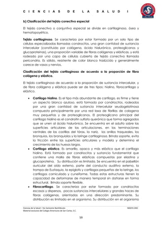 C I E N C I A S D E L A S A L U D I
Ciencias de la Salud I 5to Semestre Bachillerato MACR-CASC
Material exclusivo del Colegio Americano de San Carlos, S.C.
59
b) Clasificación del tejido conectivo especial
El tejido conectivo o conjuntivo especial se divide en cartilaginoso, óseo y
hematopoyético.
Tejido cartilaginoso. Se caracteriza por estar formado por un solo tipo de
células especializadas llamadas condrocitos, una gran cantidad de sustancia
intercelular (constituida por colágena, ácido hialurónico, proteoglicanos y
glucoproteínas), una proporción variable de fibras colágenas y elásticas, y está
rodeado por una capa de células cubierta de tejido conectivo llamada
pericondrio. Es sólido, resistente de color blanco traslúcido y generalmente
carece de vasos y nervios.
Clasificación del tejido cartilaginoso de acuerdo a la proporción de fibra
colágena y elástica.
El tejido cartilaginoso de acuerdo a la proporción de sustancia intercelular, y
de fibra colágena y elástica puede ser de tres tipos: hialino, fibrocartílago y
elástico.
 Cartílago hialino. Es el tipo más abundante de cartílago, es firme y tiene
un aspecto blanco azuloso, está formado por condriocitos, rodeados
por una gran cantidad de sustancia intercelular seudogelatinosa
compuesta principalmente por una red laxa de fibrillas de colagena
muy pequeñas y de proteoglicanos. El proteoglicano principal del
cartílago hialino es el condroitin sulfato querónico que forma agregados
que se unen al ácido hialurónico. Se encuentra en el adulto sobre las
superficies articulares de las articulaciones, en las terminaciones
ventrales de las costillas del tórax, la nariz, los anillos traqueales, los
bronquios, los bronquiolos y la laringe cartilaginosa. Brinda soporte, evita
la fricción entre las superficies articulares y modela y determina el
crecimiento de los huesos largos.
 Cartílago elástico. Es amarillo, opaco y más elástico que el cartílago
hialino. Está formado por condriocitos y sustancia fundamental que
contiene una malla de fibras elásticas compuestas por elastina y
glucoproteína. Su distribución es limitada. Se encuentra en el pabellón
auricular del oído externo, parte del conducto auditivo externo, la
trompa de Eustaquio, la epiglotis y cartílagos pequeños de la laringe, los
cartílagos corniculado y cuneiforme. Todas estas estructuras tienen la
capacidad de deformarse de manera temporal sin dañarse en forma
estructural. Brinda soporte flexible.
 Fibrocartílago. Se caracteriza por estar formado por condriocitos
escasos y dispersos, pocas sustancias intercelulares y grandes haces de
fibras colágenas, orientadas en una dirección predominante. Su
distribución es limitada en el organismo. Su distribución en el organismo
 