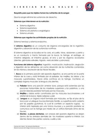 C I E N C I A S D E L A S A L U D I
Ciencias de la Salud I 5to Semestre Bachillerato MACR-CASC
Material exclusivo del Colegio Americano de San Carlos, S.C.
65
Requisito para que los tejidos tomen los nutrientes de la sangre
Que la sangre elimine las sustancias de desecho.
Sistemas que intervienen en la nutrición:
 Sistema digestivo
 Sistema respiratorio
 Sistema circulatorio o angiológico
 Sistema urinario
Sistemas que regulan las actividades propias de la nutrición
Sistema nervioso y sistema endocrino.
El sistema digestivo es un conjunto de órganos encargados de la ingestión,
digestión y absorción de las sustancias nutritivas.
El sistema digestivo se localiza en la cara, el cuello, tórax, abdomen y pelvis y
es un conducto o tracto formado por la boca, la faringe, el esófago, el
intestino delgado, el intestino grueso, el ano y por los órganos accesorios
(dientes, glándulas salivales, hígado, vesícula biliar y páncreas).
Funciones del sistema digestivo: ingestión, masticación, insalivación, deglución
y digestión de los alimentos; así como absorción de los nutrientes contenidos
en los mismos y excreción de las heces fecales.
1. Boca es la primera porción del aparato digestivo, se encuentra en la parte
inferior de la cara y está limitada por el paladar, las mejillas, los labios y los
músculos suprahioideos. Hacia atrás continúa en la faringe. Contiene un
complejo órgano muscular, la lengua y los dientes.
a) Paladar tiene una porción anterior dura, porque está sostenido por las
pociones horizontales de los maxilares superiores y los palatinos, y una
poción blanda posterior formada por los músculos.
b) Mejillas y labios están constituidos por los músculos buccinadores y el
orbital de la boca, tejido adiposo y piel.
c) Lengua es un órgano móvil formado por músculos, se fija al piso de la
boca por un pliegue mucoso llamado frenillo, su superficie está cubierta
por las papilas gustativas, lo cual le confiere un aspecto rugoso, su
interior está tapizado por una túnica mucosa y su porción posterior se
comunica con la faringe por medio de un orificio llamado istmo de las
fauces.
d) Dientes o piezas dentarias, son anexos del aparato digestivo se alojan
dentro de los alvéolos dentales de los maxilares superior e inferior. Los
dientes tienen tres partes: corona, cuello y raíz.
 