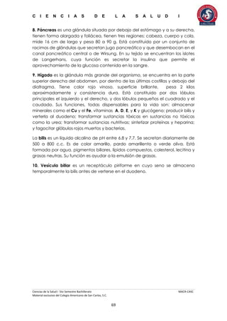C I E N C I A S D E L A S A L U D I
Ciencias de la Salud I 5to Semestre Bachillerato MACR-CASC
Material exclusivo del Colegio Americano de San Carlos, S.C.
69
8. Páncreas es una glándula situada por debajo del estómago y a su derecha,
tienen forma alargada y foliácea, tienen tres regiones: cabeza, cuerpo y cola,
mide 16 cm de largo y pesa 80 a 90 g. Está constituido por un conjunto de
racimos de glándulas que secretan jugo pancreático y que desembocan en el
canal pancreático central o de Wirsung. En su tejido se encuentran los islotes
de Langerhans, cuya función es secretar la insulina que permite el
aprovechamiento de la glucosa contenida en la sangre.
9. Hígado es la glándula más grande del organismo, se encuentra en la parte
superior derecha del abdomen, por dentro de las últimas costillas y debajo del
diafragma. Tiene color rojo vinoso, superficie brillante, pesa 2 kilos
aproximadamente y consistencia dura. Está constituido por dos lóbulos
principales el izquierdo y el derecho, y dos lóbulos pequeños el cuadrado y el
caudado. Sus funciones, todas dispensables para la vida son: almacenar
minerales como el Cu y el Fe, vitaminas A, D, E, y K y glucógeno; producir bilis y
verterla al duodeno; transformar sustancias tóxicas en sustancias no tóxicas
como la urea; transformar sustancias nutritivas; sintetizar proteínas y heparina;
y fagocitar glóbulos rojos muertos y bacterias.
La bilis es un líquido alcalino de pH entre 6.8 y 7.7. Se secretan diariamente de
500 a 800 c.c. Es de color amarillo, pardo amarillento o verde oliva. Está
formada por agua, pigmentos biliares, lípidos compuestos, colesterol, lecitina y
grasas neutras. Su función es ayudar a la emulsión de grasas.
10. Vesícula biliar es un receptáculo piriforme en cuyo seno se almacena
temporalmente la bilis antes de verterse en el duodeno.
 