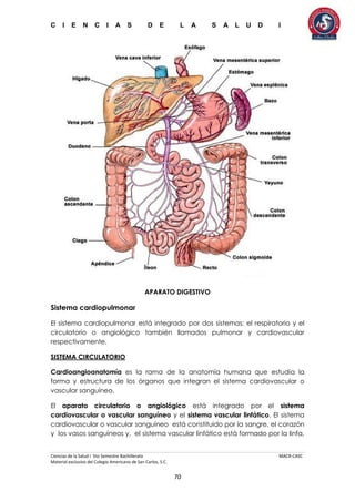 C I E N C I A S D E L A S A L U D I
Ciencias de la Salud I 5to Semestre Bachillerato MACR-CASC
Material exclusivo del Colegio Americano de San Carlos, S.C.
70
APARATO DIGESTIVO
Sistema cardiopulmonar
El sistema cardiopulmonar está integrado por dos sistemas: el respiratorio y el
circulatorio o angiológico también llamados pulmonar y cardiovascular
respectivamente.
SISTEMA CIRCULATORIO
Cardioangioanatomía es la rama de la anatomía humana que estudia la
forma y estructura de los órganos que integran el sistema cardiovascular o
vascular sanguíneo.
El aparato circulatorio o angiológico está integrado por el sistema
cardiovascular o vascular sanguíneo y el sistema vascular linfático. El sistema
cardiovascular o vascular sanguíneo está constituido por la sangre, el corazón
y los vasos sanguíneos y, el sistema vascular linfático está formado por la linfa,
 