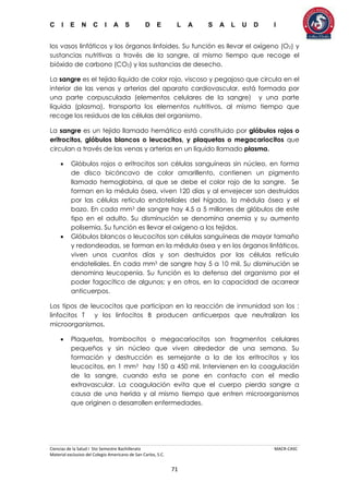 C I E N C I A S D E L A S A L U D I
Ciencias de la Salud I 5to Semestre Bachillerato MACR-CASC
Material exclusivo del Colegio Americano de San Carlos, S.C.
71
los vasos linfáticos y los órganos linfoides. Su función es llevar el oxígeno (O2) y
sustancias nutritivas a través de la sangre, al mismo tiempo que recoge el
bióxido de carbono (CO2) y las sustancias de desecho.
La sangre es el tejido líquido de color rojo, viscoso y pegajoso que circula en el
interior de las venas y arterias del aparato cardiovascular, está formada por
una parte corpusculada (elementos celulares de la sangre) y una parte
líquida (plasma), transporta los elementos nutritivos, al mismo tiempo que
recoge los residuos de las células del organismo.
La sangre es un tejido llamado hemático está constituido por glóbulos rojos o
eritrocitos, glóbulos blancos o leucocitos, y plaquetas o megacariocitos que
circulan a través de las venas y arterias en un líquido llamado plasma.
 Glóbulos rojos o eritrocitos son células sanguíneas sin núcleo, en forma
de disco bicóncavo de color amarillento, contienen un pigmento
llamado hemoglobina, al que se debe el color rojo de la sangre. Se
forman en la médula ósea, viven 120 días y al envejecer son destruidos
por las células retículo endoteliales del hígado, la médula ósea y el
bazo. En cada mm3 de sangre hay 4.5 a 5 millones de glóbulos de este
tipo en el adulto. Su disminución se denomina anemia y su aumento
polisemia. Su función es llevar el oxígeno a los tejidos.
 Glóbulos blancos o leucocitos son células sanguíneas de mayor tamaño
y redondeadas, se forman en la médula ósea y en los órganos linfáticos,
viven unos cuantos días y son destruidos por las células retículo
endoteliales. En cada mm3 de sangre hay 5 a 10 mil. Su disminución se
denomina leucopenia. Su función es la defensa del organismo por el
poder fagocítico de algunos; y en otros, en la capacidad de acarrear
anticuerpos.
Los tipos de leucocitos que participan en la reacción de inmunidad son los :
linfocitos T y los linfocitos B producen anticuerpos que neutralizan los
microorganismos.
 Plaquetas, trombocitos o megacariocitos son fragmentos celulares
pequeños y sin núcleo que viven alrededor de una semana. Su
formación y destrucción es semejante a la de los eritrocitos y los
leucocitos, en 1 mm3 hay 150 a 450 mil. Intervienen en la coagulación
de la sangre, cuando esta se pone en contacto con el medio
extravascular. La coagulación evita que el cuerpo pierda sangre a
causa de una herida y al mismo tiempo que entren microorganismos
que originen o desarrollen enfermedades.
 