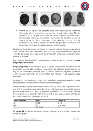 C I E N C I A S D E L A S A L U D I
Ciencias de la Salud I 5to Semestre Bachillerato MACR-CASC
Material exclusivo del Colegio Americano de San Carlos, S.C.
72
 Plasma es un líquido de aspecto claro que constituye la sustancia
intercelular de la sangre. En un plasma normal debe existir 7% de
proteínas, 0.1% de glucosa, 0.85% de sodio además de otras sales,
aminoácidos, vitaminas, hormonas y sustancias de desecho como la
urea y el ácido úrico. Funciona como vehículo por el cual se
transportan, en venas y arterias, los tejidos sanguíneos constituidos por
agua, sales minerales, proteínas, grasas y carbohidratos.
El volumen total de sangre constituye la masa sanguínea; esta corresponde a
1/13-1/14 del peso total del cuerpo, en un adulto normal puede calcularse en
4.5 a 5 L de sangre en el organismo. En proporción en la mujer suele ser menor
que en el hombre.
Para realizar una transfusión sanguínea se deben tomar en cuenta el grupo
sanguíneo y el factor Rh.
Grupo sanguíneo es el fenotipo (que a veces corresponde exactamente al
genotipo) identificado mediante reacciones serológicas, perteneciente a
alguno de los sistemas que agrupan un cierto número de antígenos presentes
y de manera particular en los hematíes del hombre y de algunos otros
animales.
Un sistema comprende el conjunto de los antígenos que corresponden a una
serie de alelos o varias series de alelos fuertemente ligados.
Sistema ABO se define mediante los sueros anti-A y anti-B. Las isoglutininas anti-
A y anti-B, presentes en el suero de ciertos individuos, permiten definir cuatro
grupos sanguíneos (A, B, AB y O) según se aglutinen o no con los hematíes de
otros individuos, en relación con la presencia o ausencia, en estos últimos de
los correspondientes aglutinógenos, A y B.
El grupo AB se llama receptor universal porque puede recibir sangre de
cualquier grupo.
 