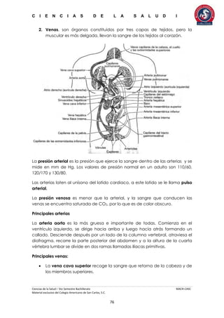C I E N C I A S D E L A S A L U D I
Ciencias de la Salud I 5to Semestre Bachillerato MACR-CASC
Material exclusivo del Colegio Americano de San Carlos, S.C.
76
2. Venas, son órganos constituidos por tres capas de tejidos, pero la
muscular es más delgada, llevan la sangre de los tejidos al corazón.
La presión arterial es la presión que ejerce la sangre dentro de las arterias y se
mide en mm de Hg. Los valores de presión normal en un adulto son 110/60,
120/170 y 130/80.
Las arterias laten al unísono del latido cardiaco, a este latido se le llama pulso
arterial.
La presión venosa es menor que la arterial, y la sangre que conducen las
venas se encuentra saturada de CO2, por lo que es de color obscuro.
Principales arterias
La arteria aorta es la más gruesa e importante de todas. Comienza en el
ventrículo izquierdo, se dirige hacia arriba y luego hacía atrás formando un
callado. Desciende después por un lado de la columna vertebral, atraviesa el
diafragma, recorre la parte posterior del abdomen y a la altura de la cuarta
vértebra lumbar se divide en dos ramas llamadas ilíacas primitivas.
Principales venas:
 La vena cava superior recoge la sangre que retorna de la cabeza y de
los miembros superiores.
 