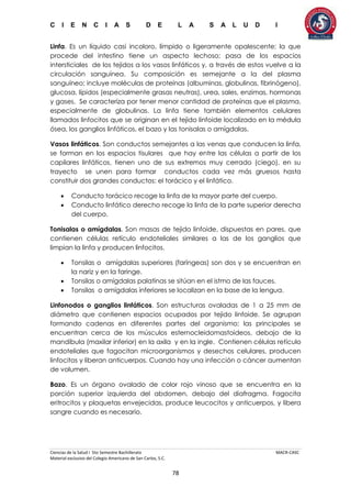 C I E N C I A S D E L A S A L U D I
Ciencias de la Salud I 5to Semestre Bachillerato MACR-CASC
Material exclusivo del Colegio Americano de San Carlos, S.C.
78
Linfa. Es un líquido casi incoloro, límpido o ligeramente opalescente; la que
procede del intestino tiene un aspecto lechoso; pasa de los espacios
intersticiales de los tejidos a los vasos linfáticos y, a través de estos vuelve a la
circulación sanguínea. Su composición es semejante a la del plasma
sanguíneo; incluye moléculas de proteínas (albuminas, globulinas, fibrinógeno),
glucosa, lípidos (especialmente grasas neutras), urea, sales, enzimas, hormonas
y gases. Se caracteriza por tener menor cantidad de proteínas que el plasma,
especialmente de globulinas. La linfa tiene también elementos celulares
llamados linfocitos que se originan en el tejido linfoide localizado en la médula
ósea, los ganglios linfáticos, el bazo y las tonisalas o amígdalas.
Vasos linfáticos. Son conductos semejantes a las venas que conducen la linfa,
se forman en los espacios tisulares que hay entre las células a partir de los
capilares linfáticos, tienen uno de sus extremos muy cerrado (ciego), en su
trayecto se unen para formar conductos cada vez más gruesos hasta
constituir dos grandes conductos: el torácico y el linfático.
 Conducto torácico recoge la linfa de la mayor parte del cuerpo.
 Conducto linfático derecho recoge la linfa de la parte superior derecha
del cuerpo.
Tonisalas o amígdalas. Son masas de tejido linfoide, dispuestas en pares, que
contienen células retículo endoteliales similares a las de los ganglios que
limpian la linfa y producen linfocitos.
 Tonsilas o amígdalas superiores (faríngeas) son dos y se encuentran en
la nariz y en la faringe.
 Tonsilas o amígdalas palatinas se sitúan en el istmo de las fauces.
 Tonsilas o amígdalas inferiores se localizan en la base de la lengua.
Linfonodos o ganglios linfáticos. Son estructuras ovaladas de 1 a 25 mm de
diámetro que contienen espacios ocupados por tejido linfoide. Se agrupan
formando cadenas en diferentes partes del organismo; las principales se
encuentran cerca de los músculos esternocleidomastoideos, debajo de la
mandíbula (maxilar inferior) en la axila y en la ingle. Contienen células retículo
endoteliales que fagocitan microorganismos y desechos celulares, producen
linfocitos y liberan anticuerpos. Cuando hay una infección o cáncer aumentan
de volumen.
Bazo. Es un órgano ovalado de color rojo vinoso que se encuentra en la
porción superior izquierda del abdomen, debajo del diafragma. Fagocita
eritrocitos y plaquetas envejecidas, produce leucocitos y anticuerpos, y libera
sangre cuando es necesario.
 