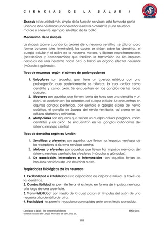 C I E N C I A S D E L A S A L U D I
Ciencias de la Salud I 5to Semestre Bachillerato MACR-CASC
Material exclusivo del Colegio Americano de San Carlos, S.C.
88
Sinapsis es la unidad más simple de la función nerviosa, está formada por la
unión de dos neuronas: una neurona sensitiva o aferente y una neurona
motora o eferente, ejemplo, el reflejo de la rodilla.
Mecanismo de la sinapsis
La sinapsis ocurre cuando los axones de la neurona sensitiva se dilatan para
formar botones (pies terminales), los cuales se sitúan sobre las dendritas, el
cuerpo celular y el axón de la neurona motora, y liberan neurotransmisores
(acetilcolina y catecolamina) que facilitan la transmisión de los impulsos
nerviosos de una neurona hacia otra o hacia un órgano efector neuronal
(músculo o glándula).
Tipos de neuronas según el número de prolongaciones
1. Unipolares son aquellas que tiene un cuerpo esférico con una
prolongación que posteriormente se bifurca, la cual actúa como
dendrita y como axón. Se encuentran en los ganglios de las raíces
dorsales.
2. Bipolares son aquellas que tienen forma de huso con una dendrita y un
axón, se localizan en los extremos del cuerpo celular. Se encuentran en
algunos ganglios periféricos, por ejemplo el ganglio espiral del nervio
acústico, el ganglio de Scarpa del nervio vestibular, así como en las
células olfatorias y retinianas.
3. Multipolares son aquellas que tienen un cuerpo celular poligonal, varias
dendritas y un axón. Se encuentran en los ganglios autónomos del
sistema nervioso central.
Tipos de dendritas según su función
1. Sensitivas o aferentes son aquellas que llevan los impulsos nerviosos de
los receptores al sistema nervioso central.
2. Motoras o eferentes son aquellas que llevan los impulsos nerviosos del
sistema nervioso central a los efectores (músculos o glándulas).
3. De asociación, intercalares o internunciales son aquellas llevan los
impulsos nerviosos de una neurona a otra.
Propiedades fisiológicas de las neuronas
1. Excitabilidad o irritabilidad es la capacidad de captar estímulos a través de
las dendritas.
2. Conductibilidad les permite llevar el estímulo en forma de impulsos nerviosos
a lo largo de una superficie.
3. Transmisibilidad por medio de la cual, pasan el impulso del axón de una
neurona a la dendrita de otra.
4. Plasticidad les permite reacciona con rapidez ante un estímulo conocido.
 
