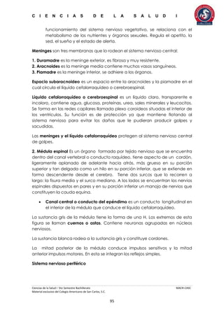 C I E N C I A S D E L A S A L U D I
Ciencias de la Salud I 5to Semestre Bachillerato MACR-CASC
Material exclusivo del Colegio Americano de San Carlos, S.C.
95
funcionamiento del sistema nervioso vegetativo, se relaciona con el
metabolismo de los nutrientes y órganos sexuales. Regula el apetito, la
sed, el sueño y el estado de alerta.
Meninges son tres membranas que lo rodean el sistema nervioso central:
1. Duramadre es la meninge exterior, es fibrosa y muy resistente.
2. Aracnoides es la meninge media contiene muchos vasos sanguíneos.
3. Piamadre es la meninge interior, se adhiere a los órganos.
Espacio subaracnoideo es un espacio entre la aracnoides y la piamadre en el
cual circula el líquido cefalorraquídeo o cerebroespinal.
Líquido cefalorraquídeo o cerebroespinal es un líquido claro, transparente e
incoloro, contiene agua, glucosa, proteínas, urea, sales minerales y leucocitos.
Se forma en las redes capilares llamada plexo coroideos situadas el interior de
los ventrículos. Su función es de protección ya que mantiene flotando al
sistema nervioso para evitar los daños que le pudieran producir golpes y
sacudidas.
Las meninges y el líquido cefalorraquídeo protegen al sistema nervioso central
de golpes.
2. Médula espinal Es un órgano formado por tejido nervioso que se encuentra
dentro del canal vertebral o conducto raquídeo, tiene aspecto de un cordón,
ligeramente aplanado de adelante hacia atrás, más grueso en su porción
superior y tan delgada como un hilo en su porción inferior, que se extiende en
forma descendente desde el cerebro. Tiene dos surcos que lo recorren a
largo: la fisura media y el surco mediano. A los lados se encuentran los nervios
espinales dispuestos en pares y en su porción inferior un manojo de nervios que
constituyen la cauda equina.
 Canal central o conducto del epéndimo es un conducto longitudinal en
el interior de la médula que conduce el líquido cefalorraquídeo.
La sustancia gris de la médula tiene la forma de una H. Los extremos de esta
figura se llaman cuernos o astas. Contiene neuronas agrupadas en núcleos
nerviosos.
La sustancia blanca rodea a la sustancia gris y constituye cordones.
La mitad posterior de la médula conduce impulsos sensitivos y la mitad
anterior impulsos motores. En esta se integran los reflejos simples.
Sistema nervioso periférico
 