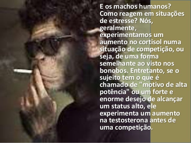 Remédios de impotência nacionais