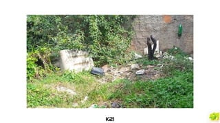 Macacos que codam - K21 @ XPConfBR 2018